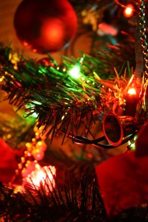 クリスマスまで1ヶ月