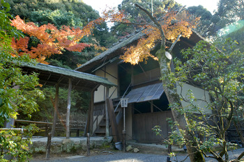 幸せ。