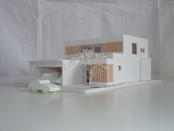 新規projects