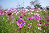 2012年10月07日