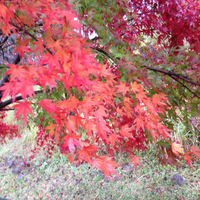 2012年11月11日