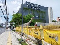 市場調査も