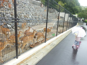 *平川動物公園とコサージュ*