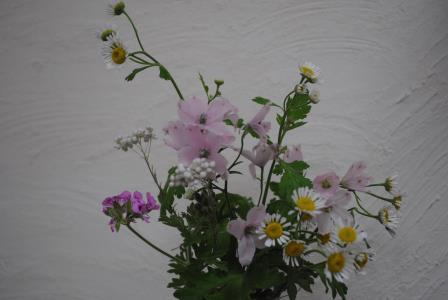 ゼラニウムの花と他の花♪ ゼラニウムの花と他の花♪