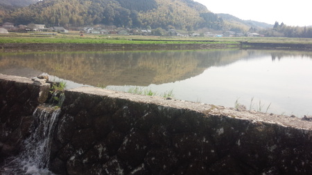 田んぼの状態 田んぼの状態