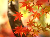何も求めるべきでない、と。