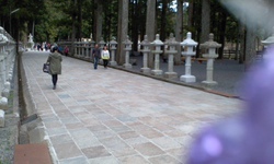 母 in 1200年の高野山 母 in 1200年の高野山