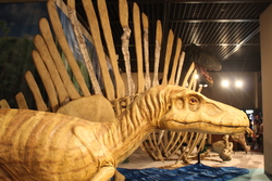 恐竜展 恐竜展