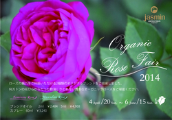 LOVE ROSE FAIR　ラブ　ローズフェア始まります♪