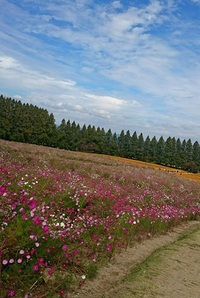 秋の思い出♪