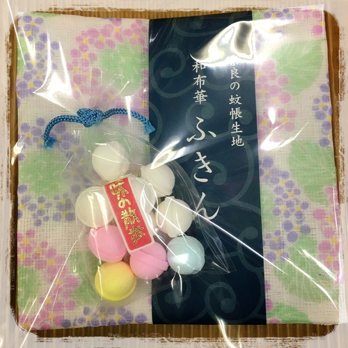 ブログお引っ越し やっと落ち着きました‼ ブログお引っ越し やっと落ち着きました‼