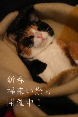 新春福来い祭り開催中! 新春福来い祭り開催中!
