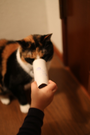 安上がりなおもちゃ 安上がりなおもちゃ