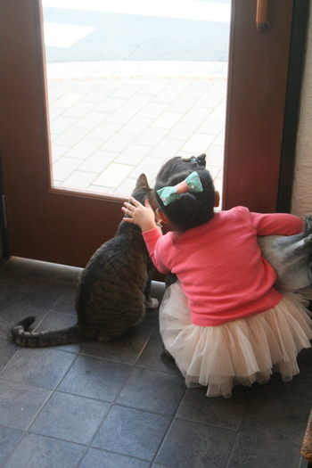 かわいいおきゃくさま