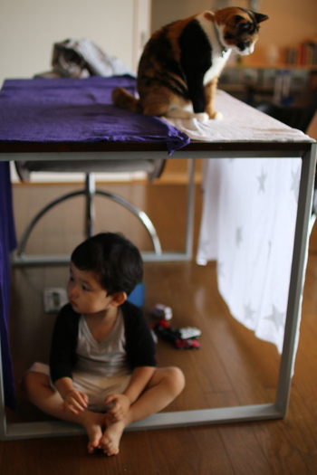 息子の家 息子の家