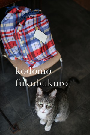 入れません 入れません