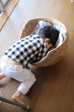 入れません 入れません