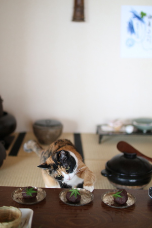 御菓子司 青屋 御菓子司 青屋