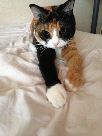 木の葉のゆれるピアス