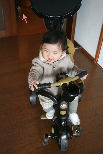 矢印の先に