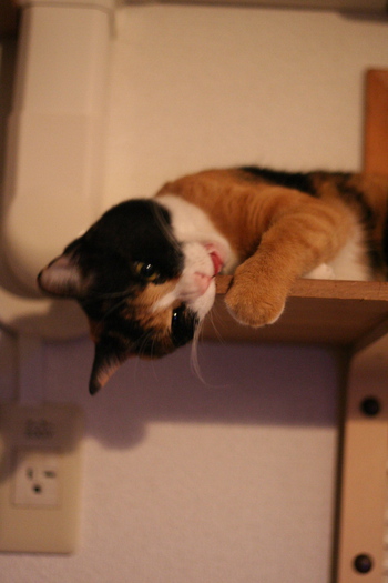 うまい?