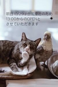 明日は13:00オープンとさせていただきます 2017/10/28 22:12:18