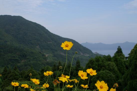 20120524 笠沙