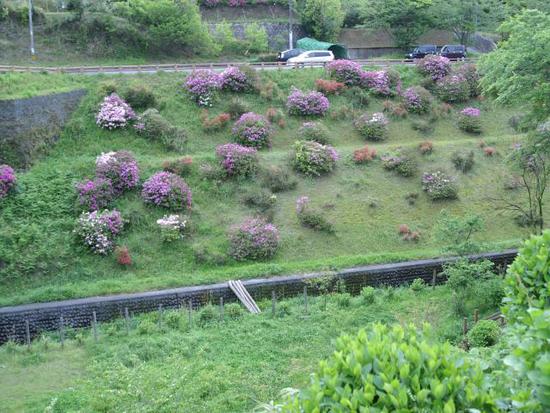 20140420 金峰2000年橋公園