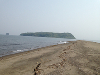 今日の知林ケ島