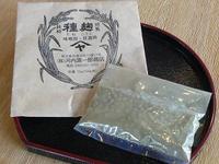 上町維新まちづくりプロジェクトの応援隊　パート４