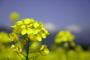 4月のお知らせ★