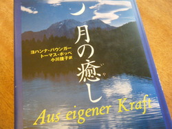 月の癒し