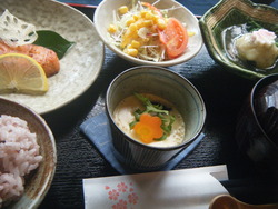 今日の一日