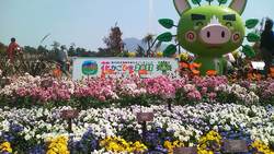 花かごしま2011