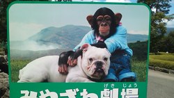 熊本で遊ぶ