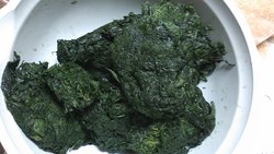 指宿でのお盆