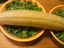 へちまとお知らせ☆
