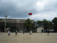 改めて