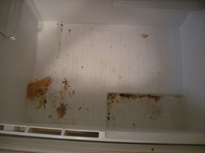ＢＡ　たまねぎも腐る冷蔵庫