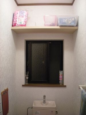BA ご飯中にはとても見られないトイレ