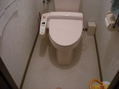 BA ご飯中にはとても見られないトイレ