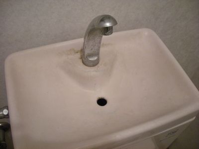 BA ご飯中にはとても見られないトイレ