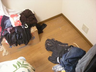 ほこりの巣