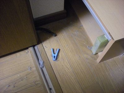 ほこりの巣