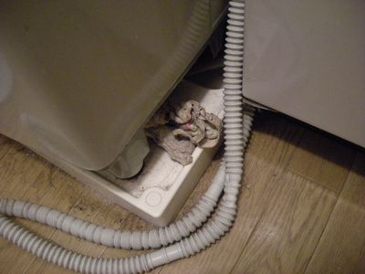 抜け毛とほこりの脱衣所
