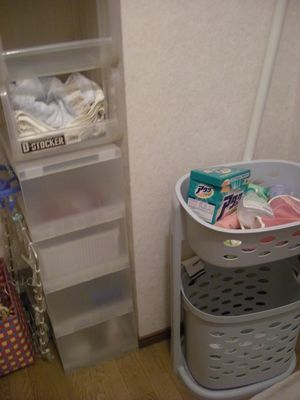 抜け毛とほこりの脱衣所