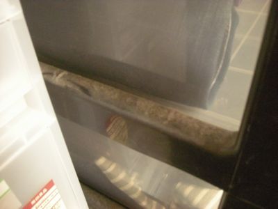 数年来のほこりのすごさ