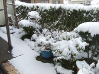 雪の牟礼岡の朝