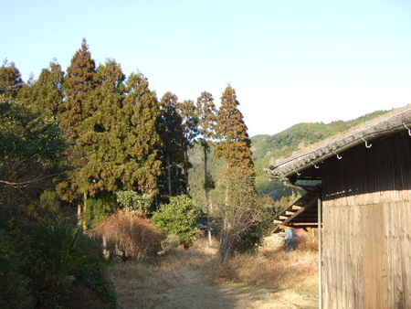 とある風景