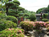 花のある庭の風景